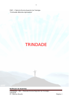(48) Trindade.doc
